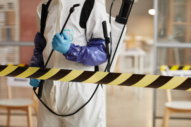 Professional Blood Cleanup technician working in Pine Grove, CA